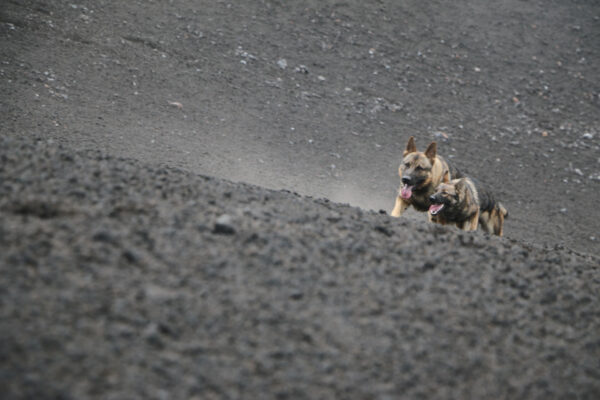 GrandTourSicilia-25-Storia-in-Bici-gallery080